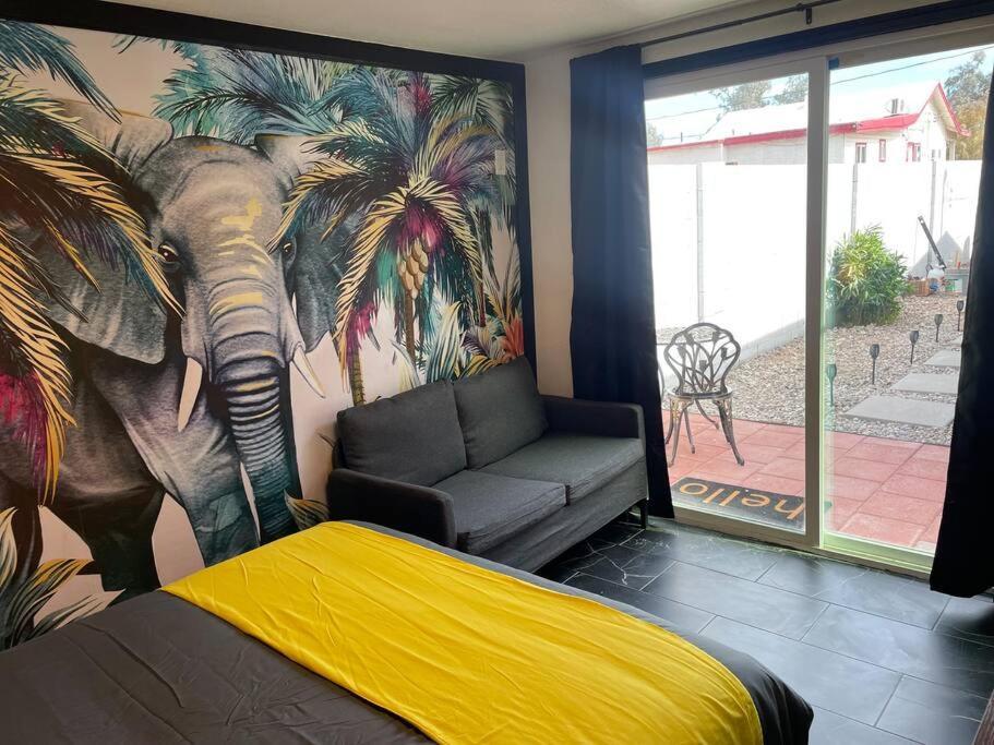 Your Tiny Downtown Home With Backyard Unit D Phoenix Exterior foto